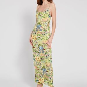 Alive and Olivia Dress, size 6
